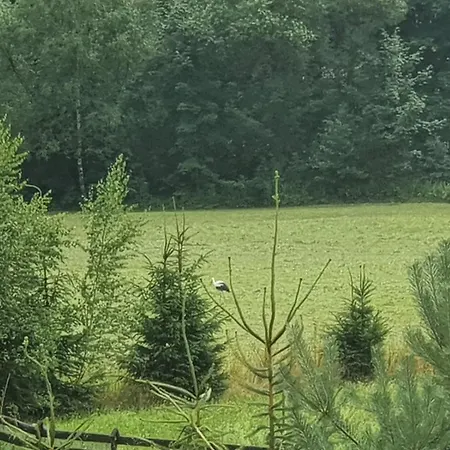 Wellness-beskydy Holiday home